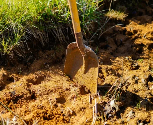 dirt work services zavalla tx