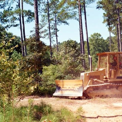 land clearing company local zavalla tx